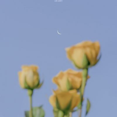 绝世唐门横扫天下破解版下载